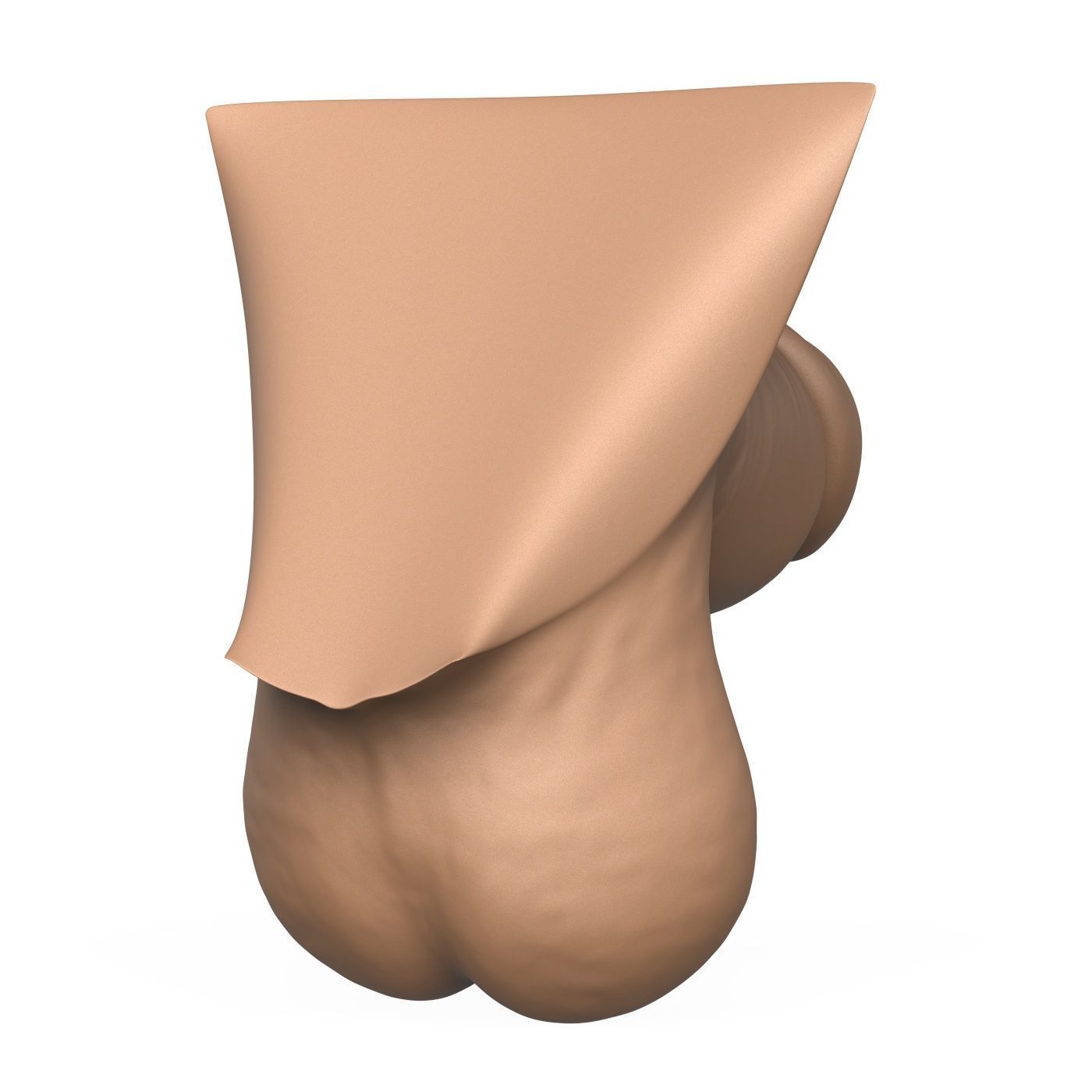 High Detailed 3D Print Ready Small Penis 3D print model_4