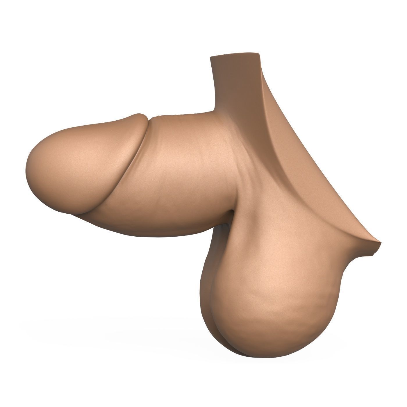 High Detailed 3D Print Ready Small Penis 3D print model_2