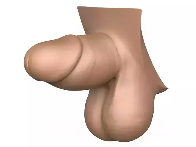 High Detailed 3D Print Ready Small Penis