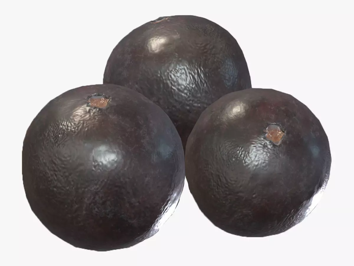 Acai berry Fruit Low Poly 3D model_0