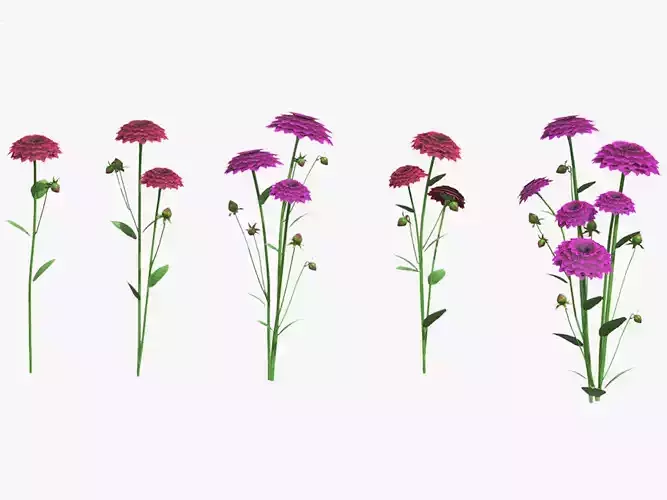 Arabian Night Flower Low Poly