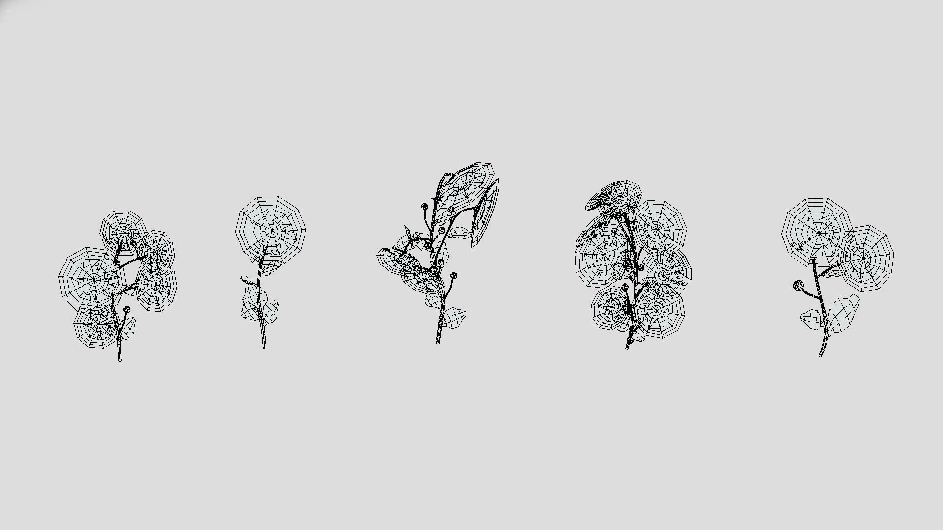 Aster flower Low Poly 3D model_10