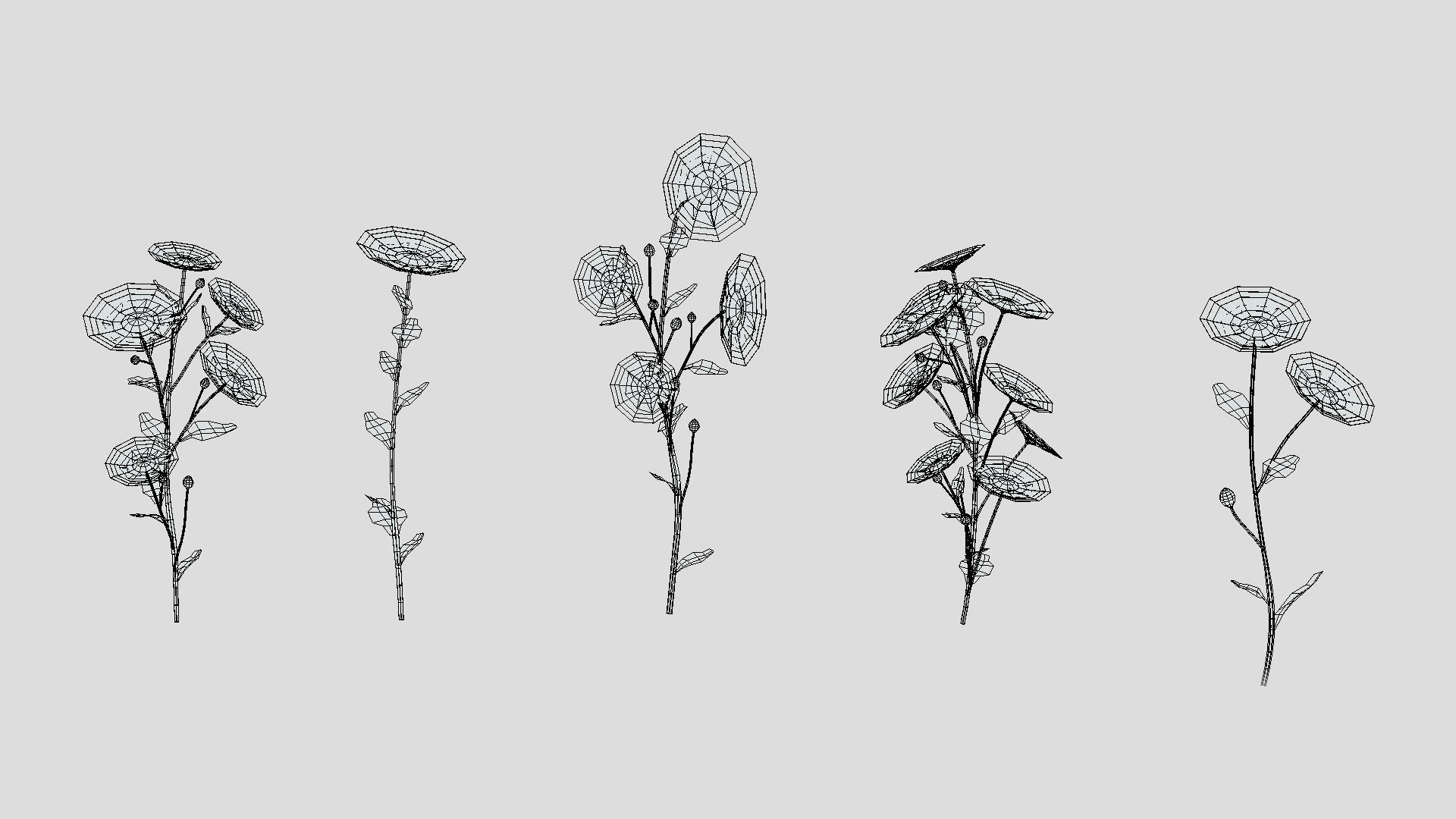 Aster flower Low Poly 3D model_9