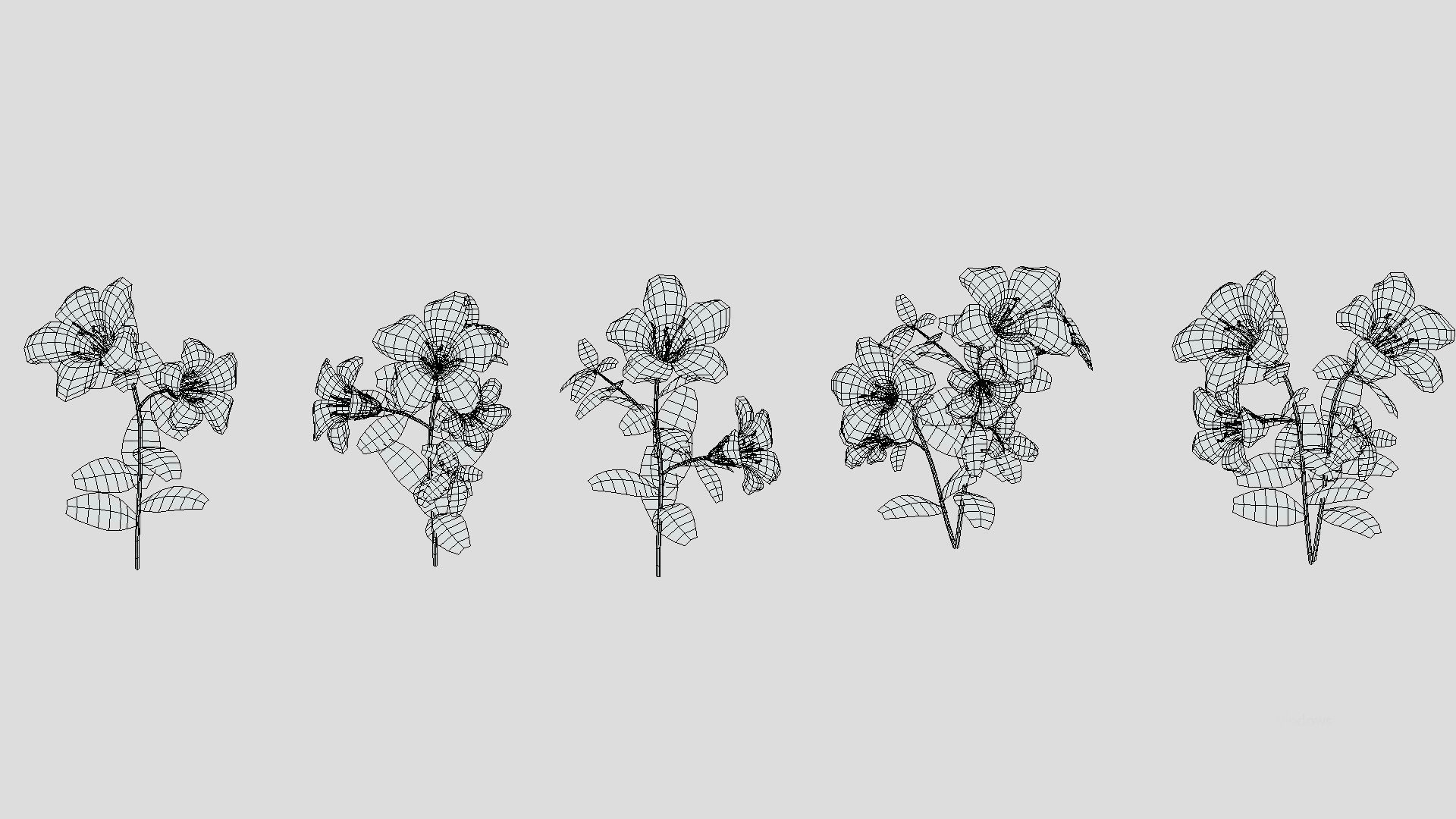 Azalea Flower Low Poly 3D model_9