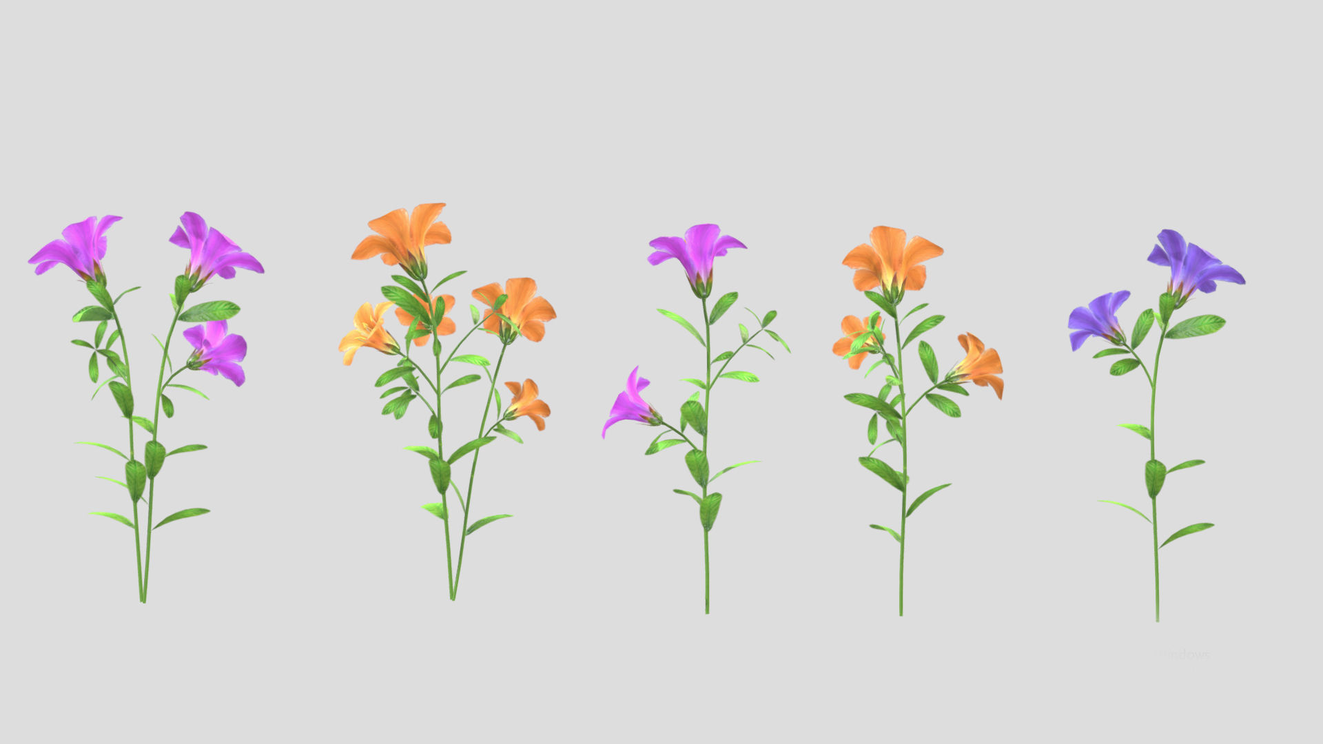 Azalea Flower Low Poly 3D model_7