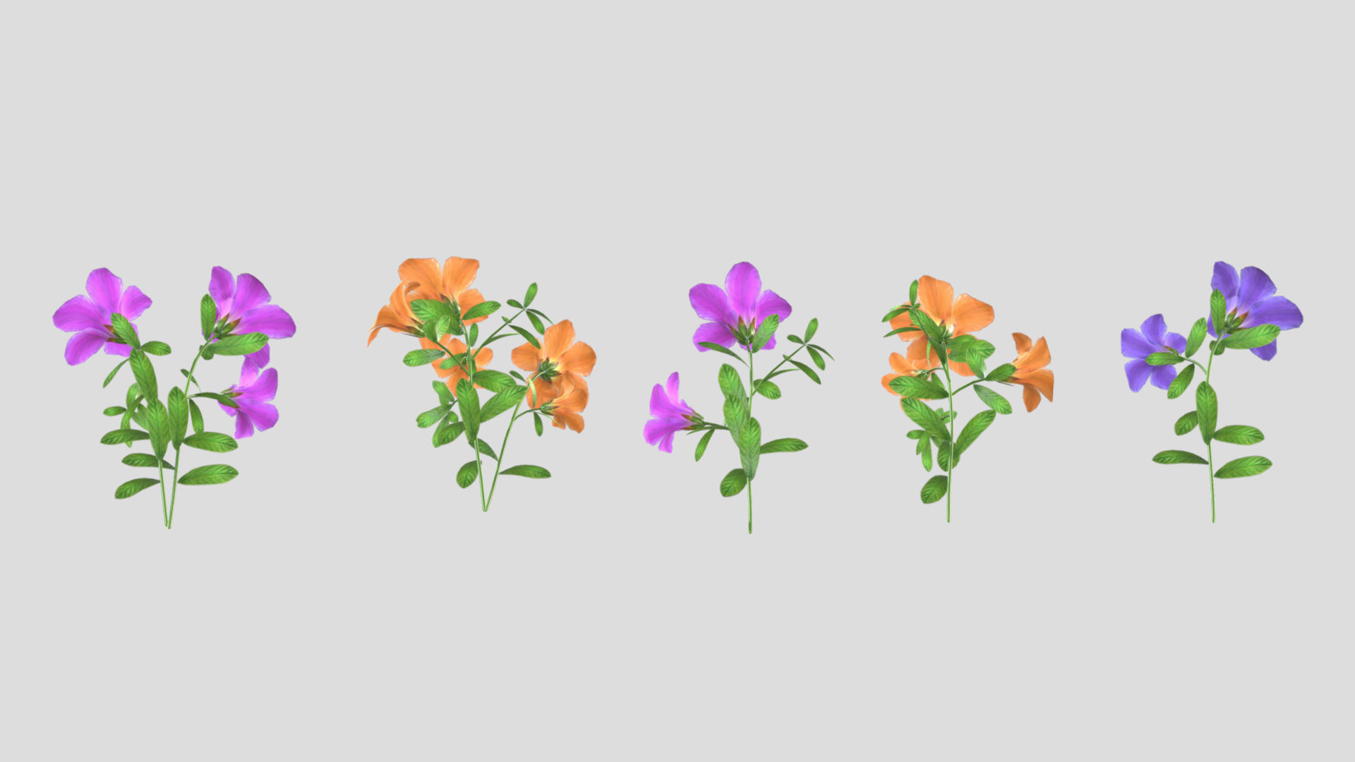Azalea Flower Low Poly 3D model_3