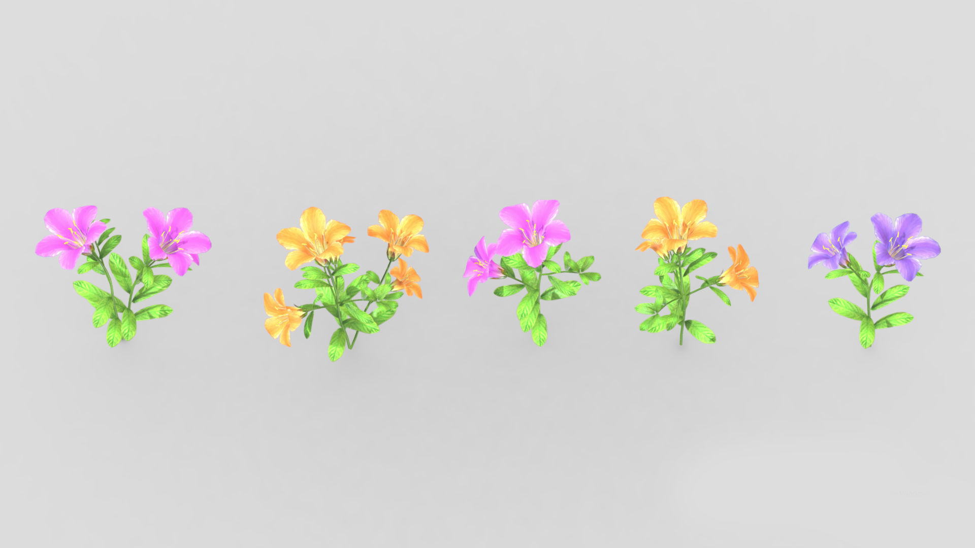 Azalea Flower Low Poly 3D model_6