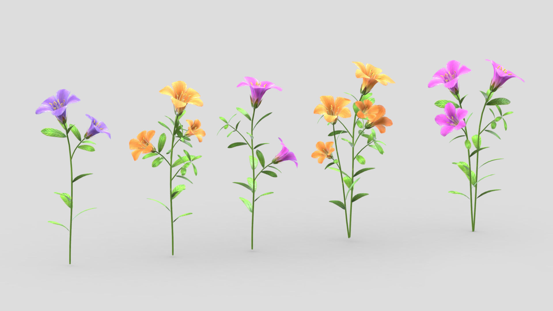 Azalea Flower Low Poly 3D model_4