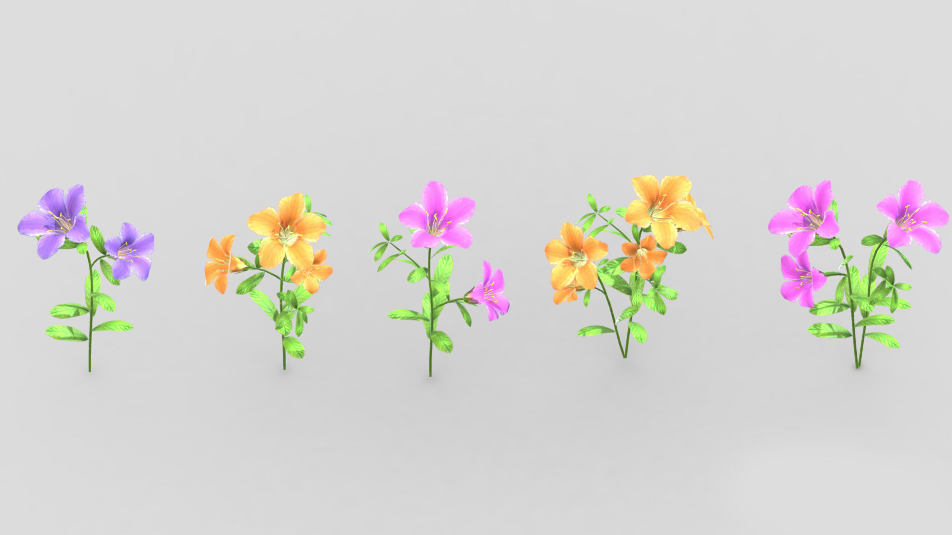 Azalea Flower Low Poly 3D model_2