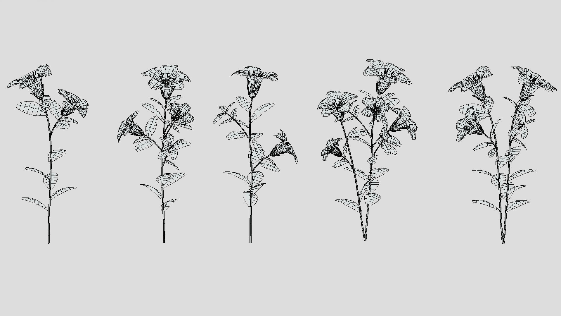 Azalea Flower Low Poly 3D model_10