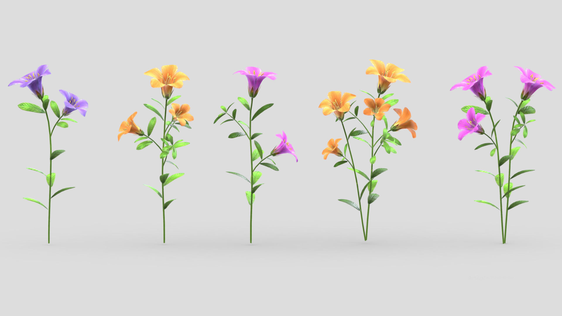 Azalea Flower Low Poly 3D model_1