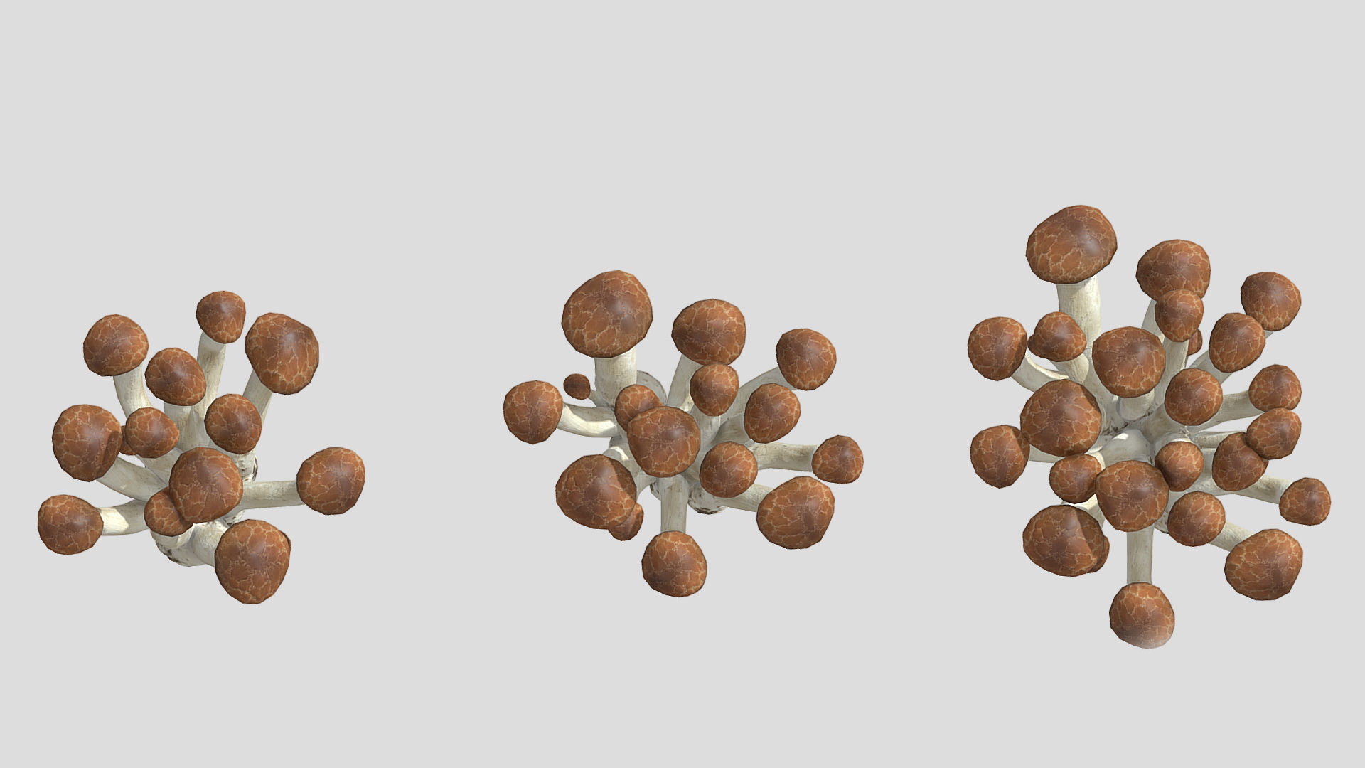 Beech Mushroom Low Poly 3D model_4