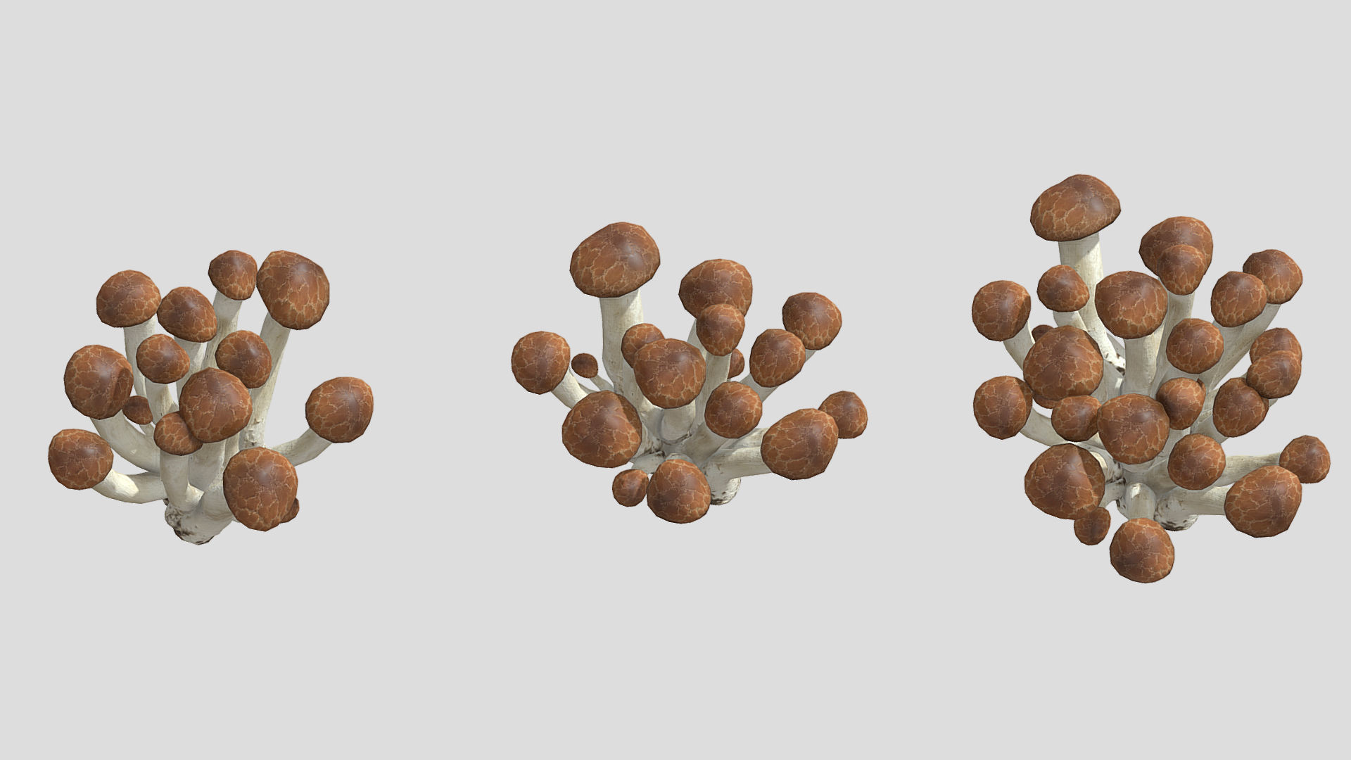 Beech Mushroom Low Poly 3D model_2