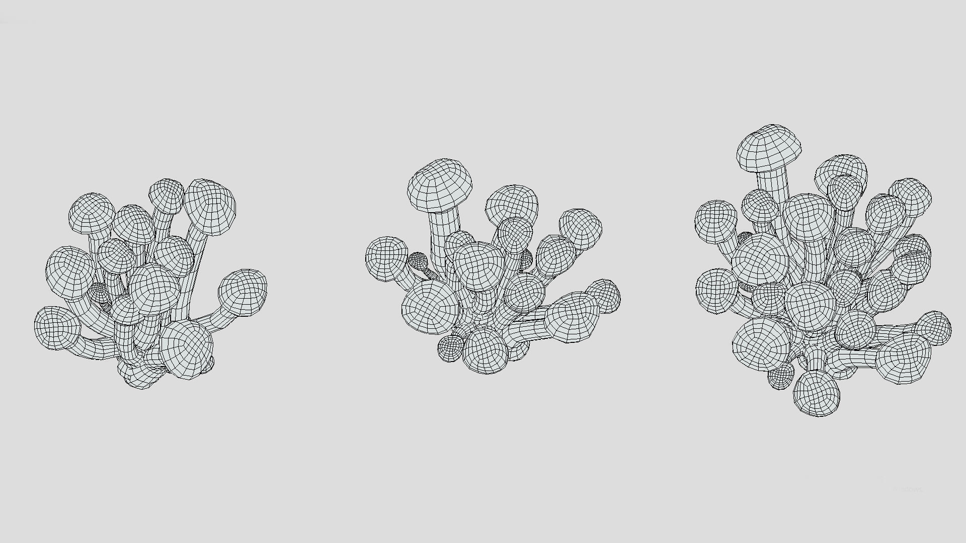 Beech Mushroom Low Poly 3D model_10