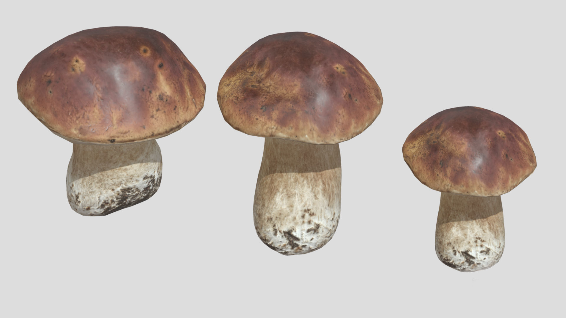 Boletus Edulis Porcini  Mushroom Low Poly 3D model_6