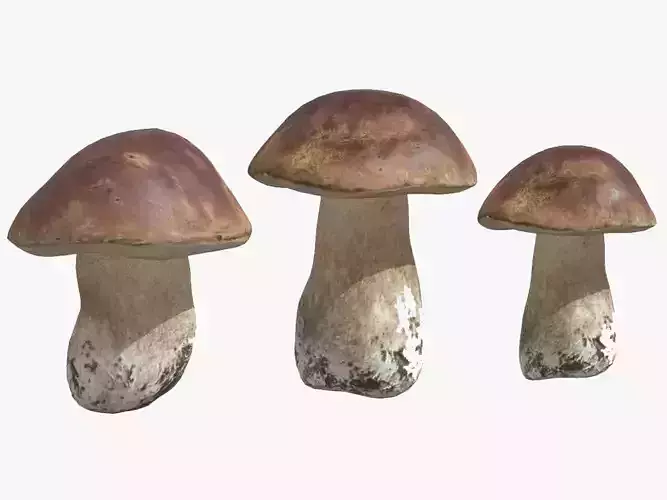 Boletus Edulis Porcini  Mushroom Low Poly 3D model