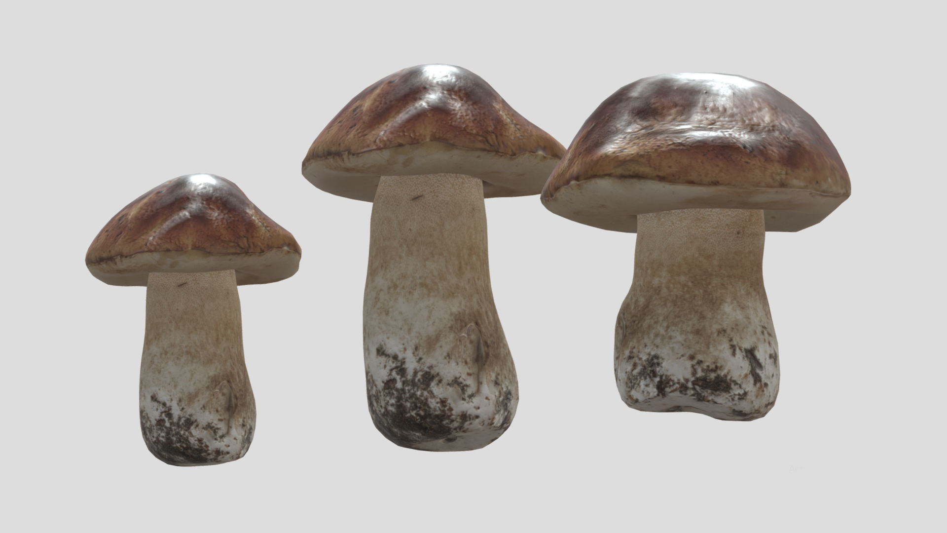 Boletus Edulis Porcini  Mushroom Low Poly 3D model_4