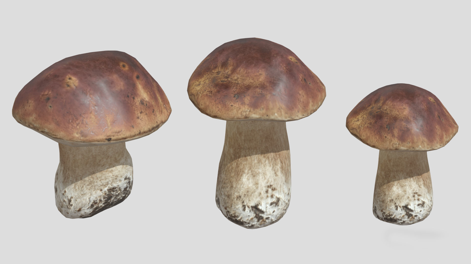 Boletus Edulis Porcini  Mushroom Low Poly 3D model_2