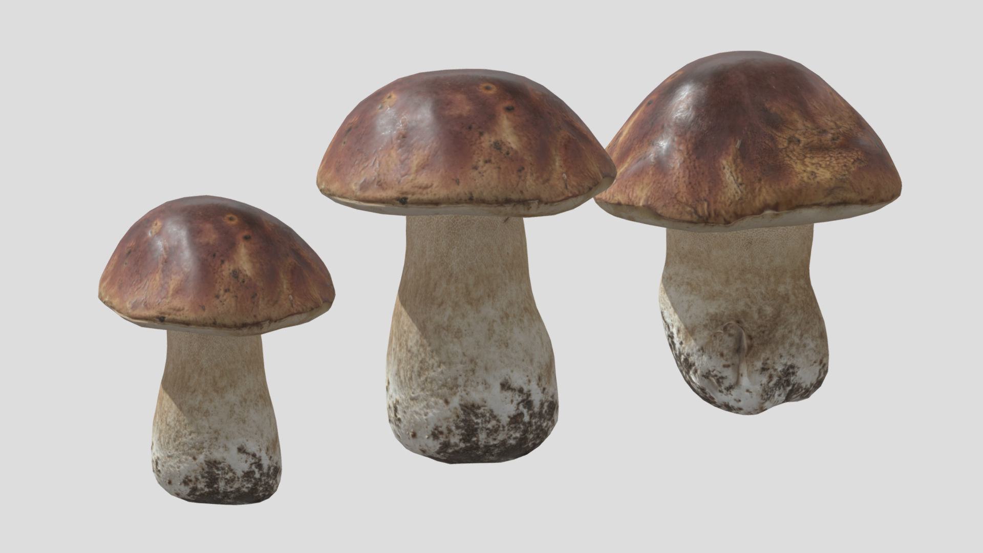 Boletus Edulis Porcini  Mushroom Low Poly 3D model_7