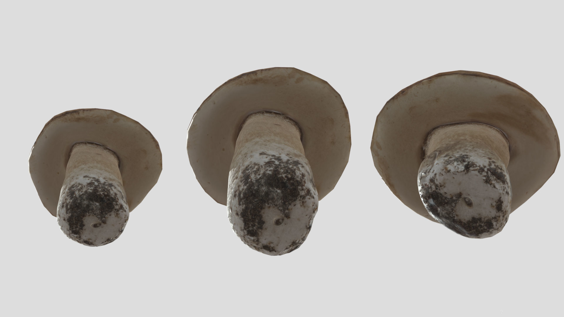 Boletus Edulis Porcini  Mushroom Low Poly 3D model_1