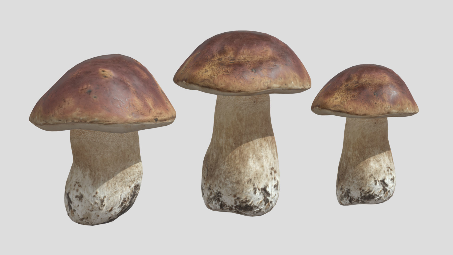 Boletus Edulis Porcini  Mushroom Low Poly 3D model_8