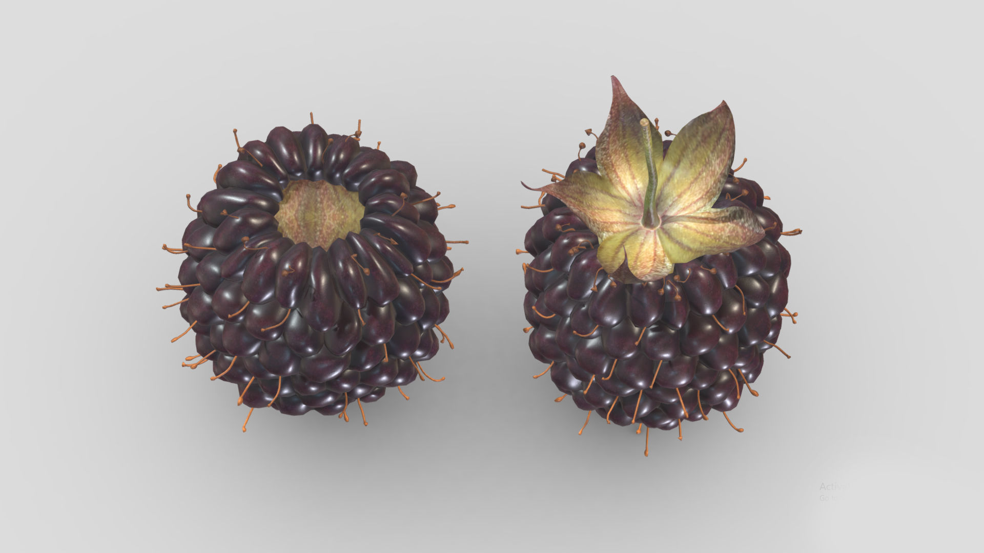 Boysenberry Fruit Low Poly 3D model_6