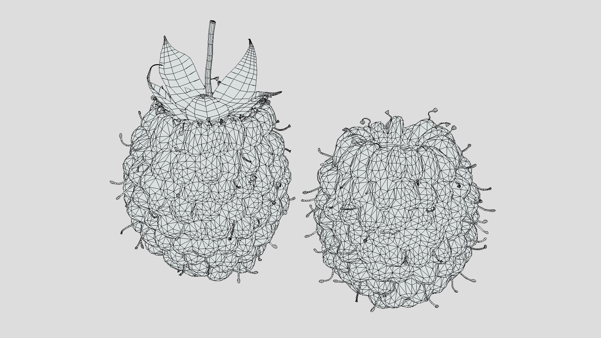 Boysenberry Fruit Low Poly 3D model_9