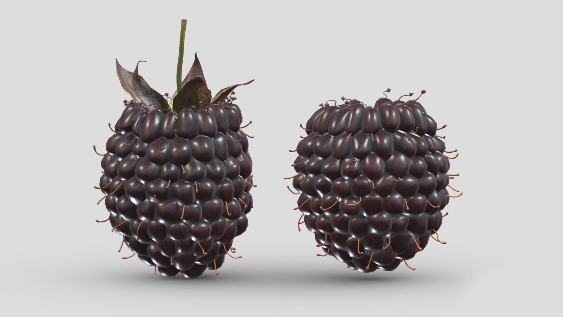 Boysenberry Fruit Low Poly 3D model_2