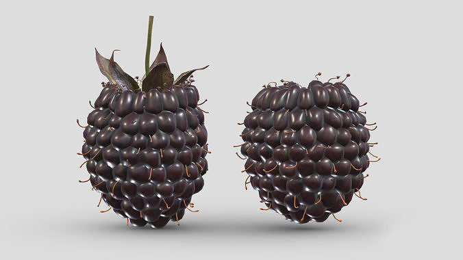 Boysenberry Fruit Low Poly 3D model 3
