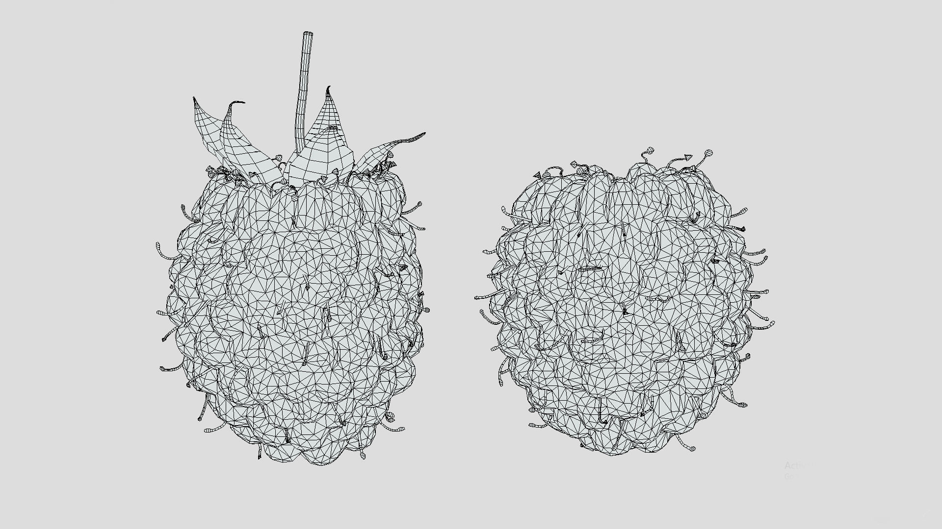Boysenberry Fruit Low Poly 3D model_10