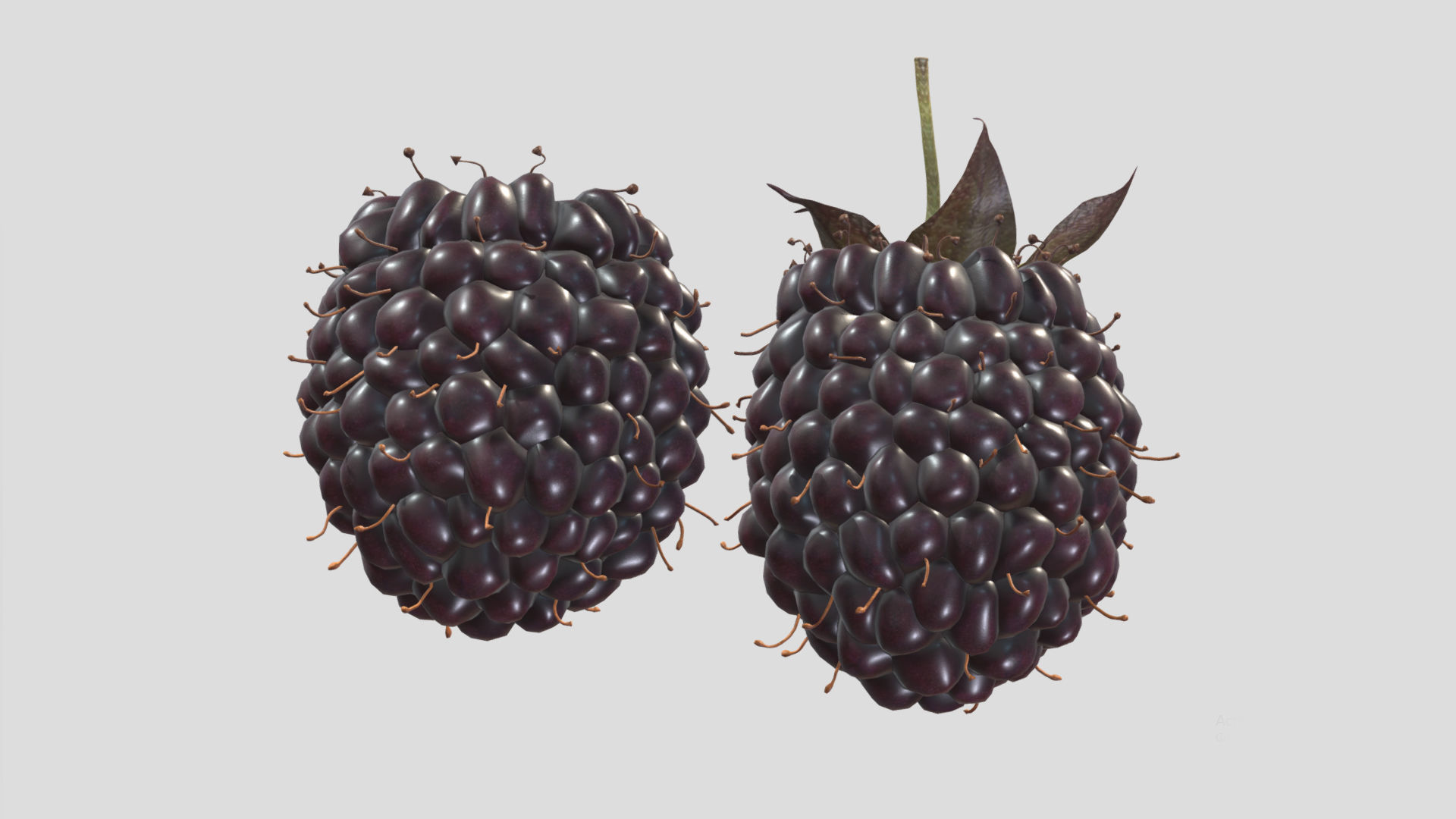 Boysenberry Fruit Low Poly 3D model_5
