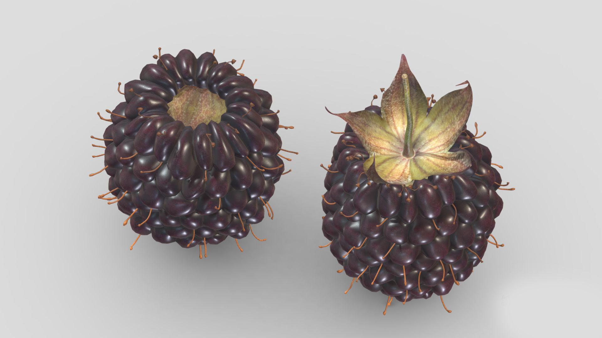 Boysenberry Fruit Low Poly 3D model_8