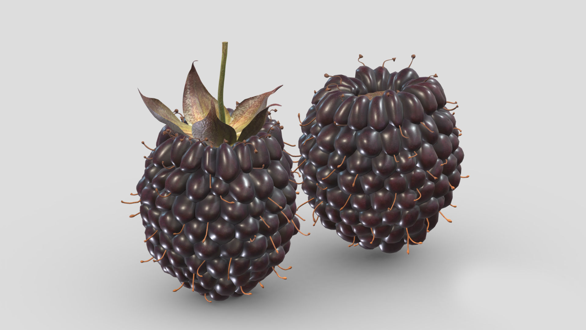 Boysenberry Fruit Low Poly 3D model_3