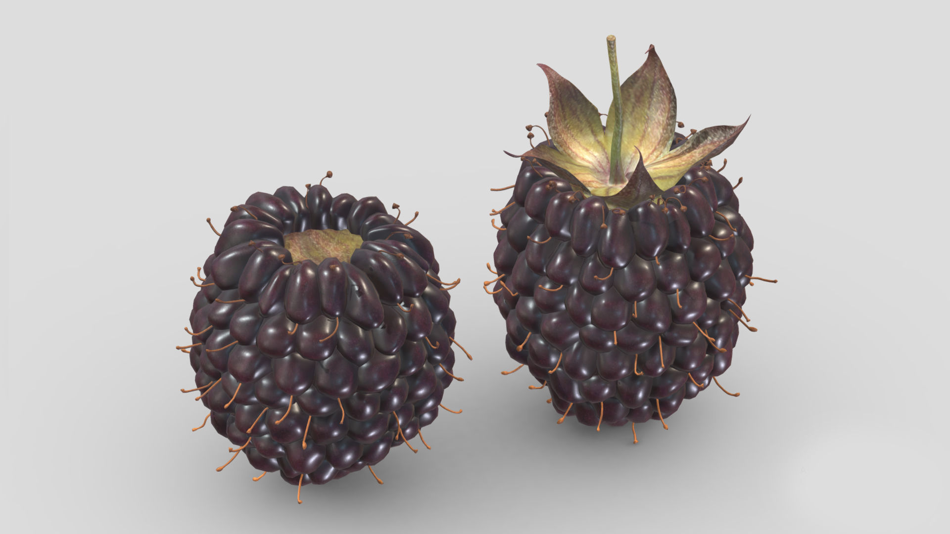 Boysenberry Fruit Low Poly 3D model_7