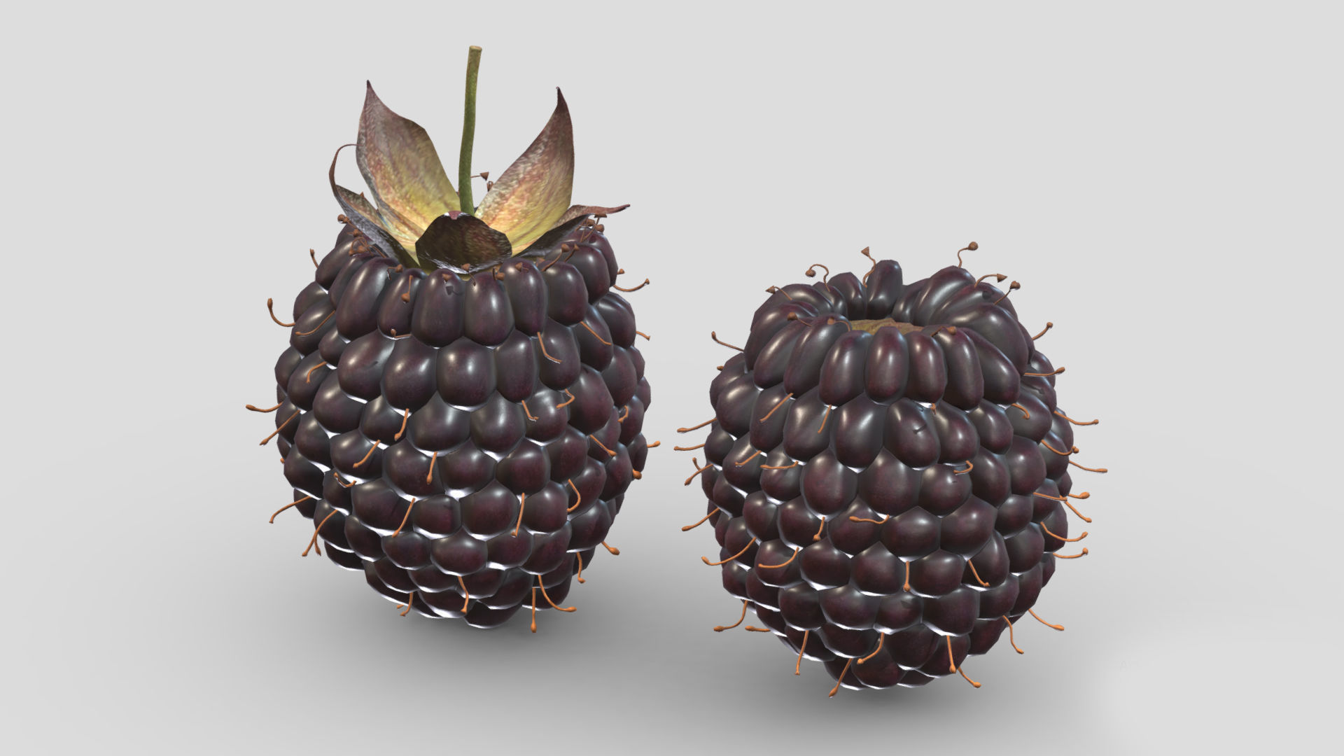 Boysenberry Fruit Low Poly 3D model_1