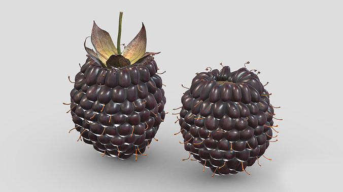 Boysenberry Fruit Low Poly 3D model 2