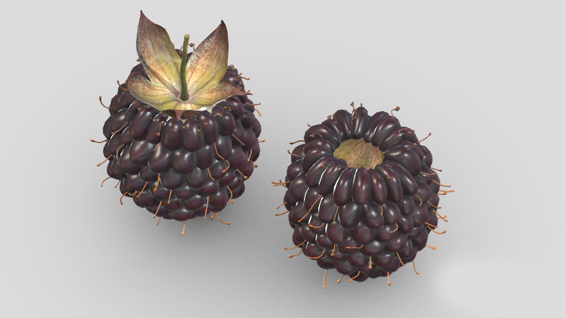 Boysenberry Fruit Low Poly 3D model_4
