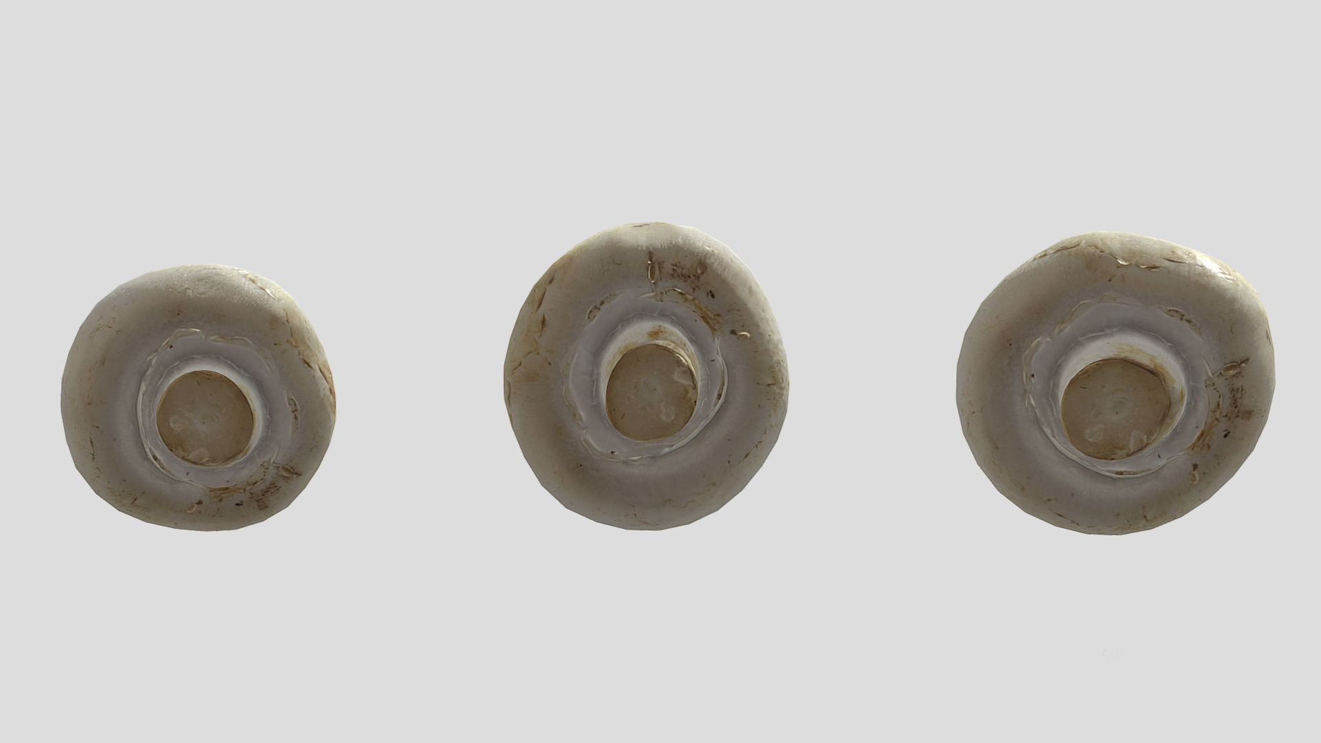 Button Mushroom Low Poly 3D model_7