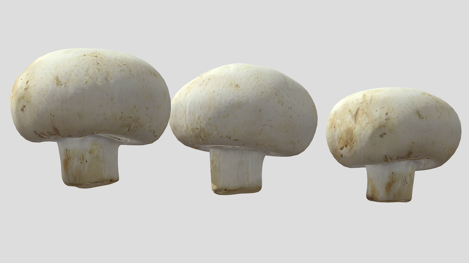 Button Mushroom Low Poly 3D model_8