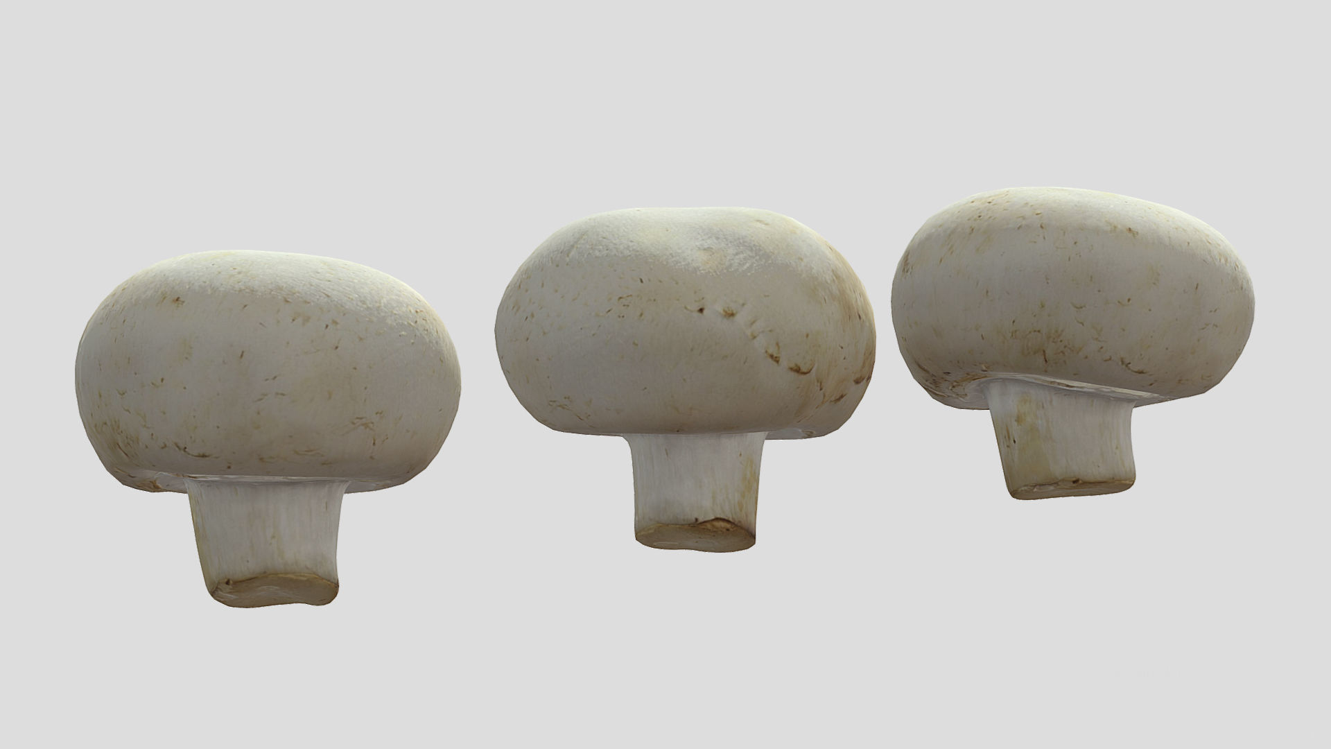 Button Mushroom Low Poly 3D model_6