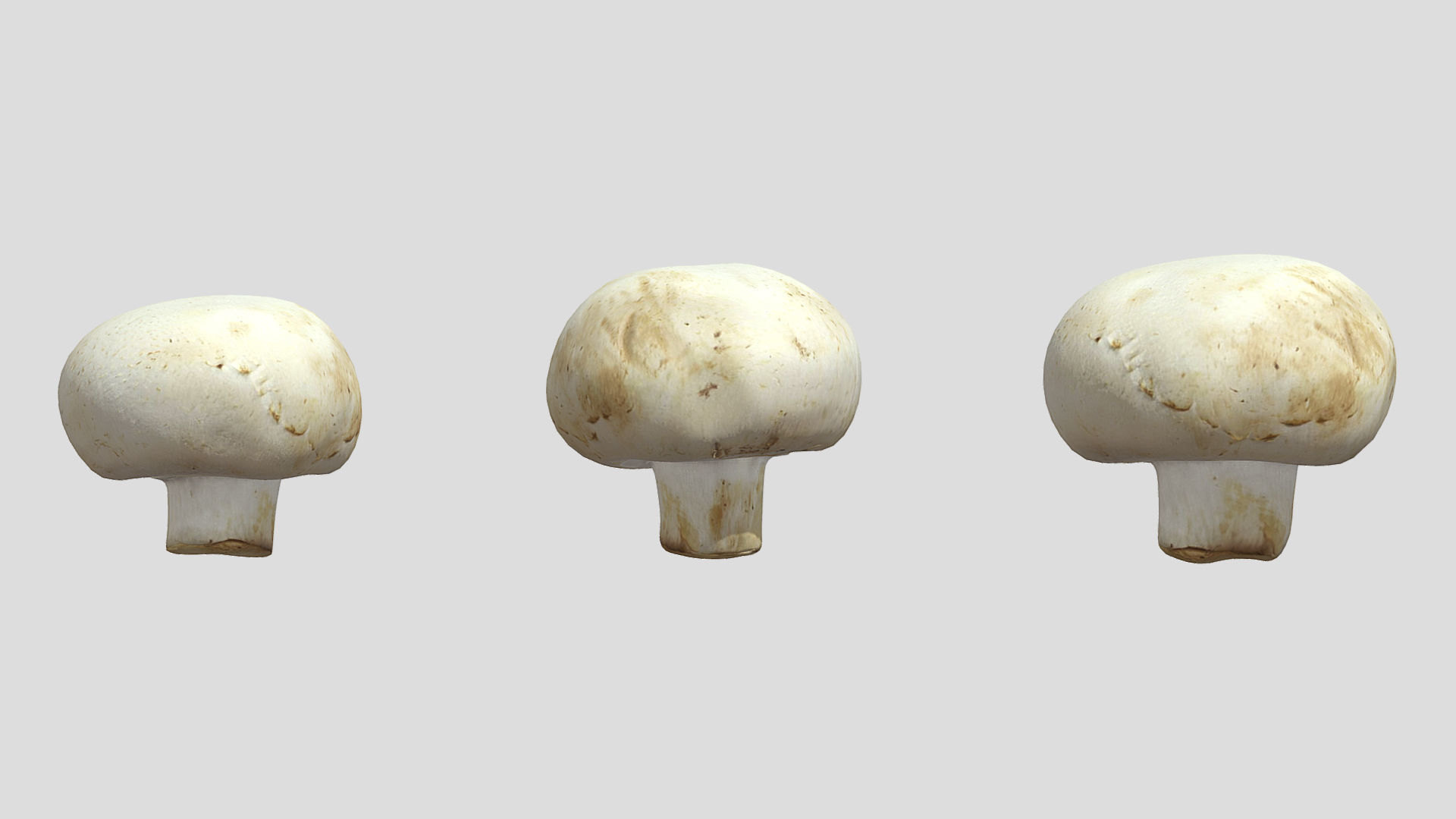 Button Mushroom Low Poly 3D model_2