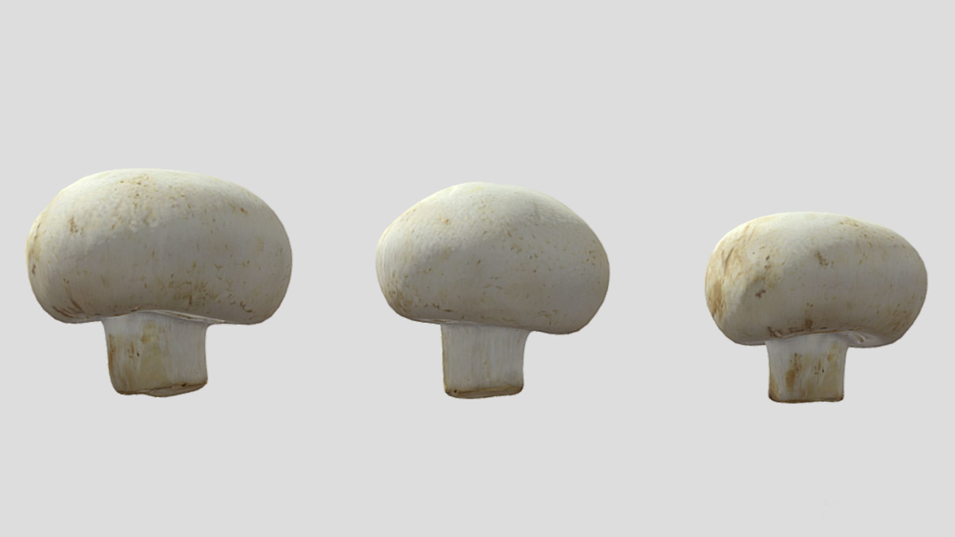 Button Mushroom Low Poly 3D model_5