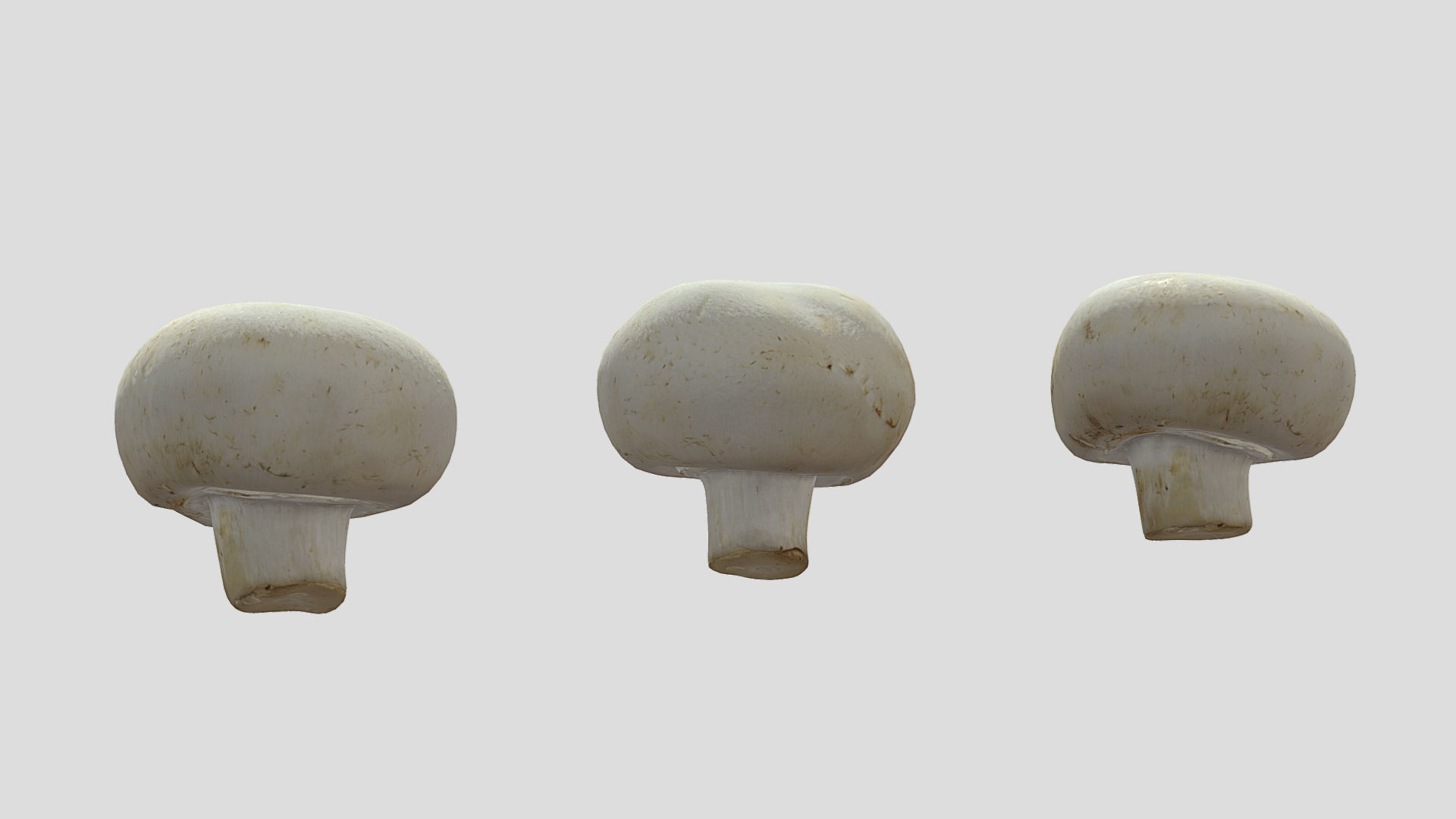 Button Mushroom Low Poly 3D model_1