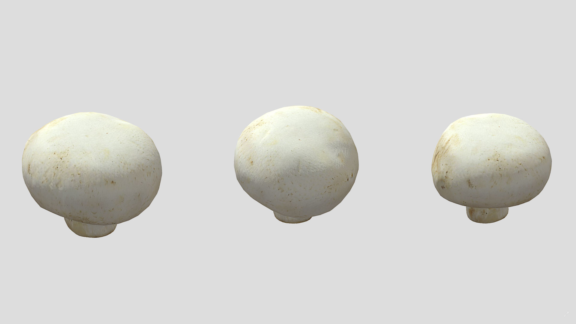 Button Mushroom Low Poly 3D model_4