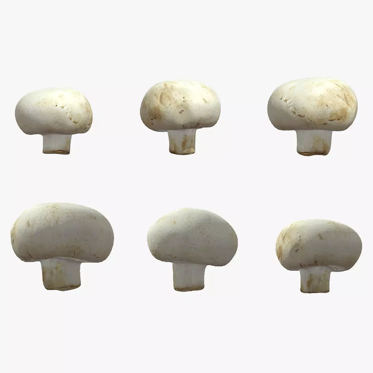 Button Mushroom Low Poly 3D model_0