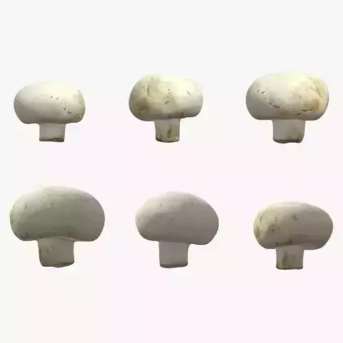 Button Mushroom Low Poly 3D model