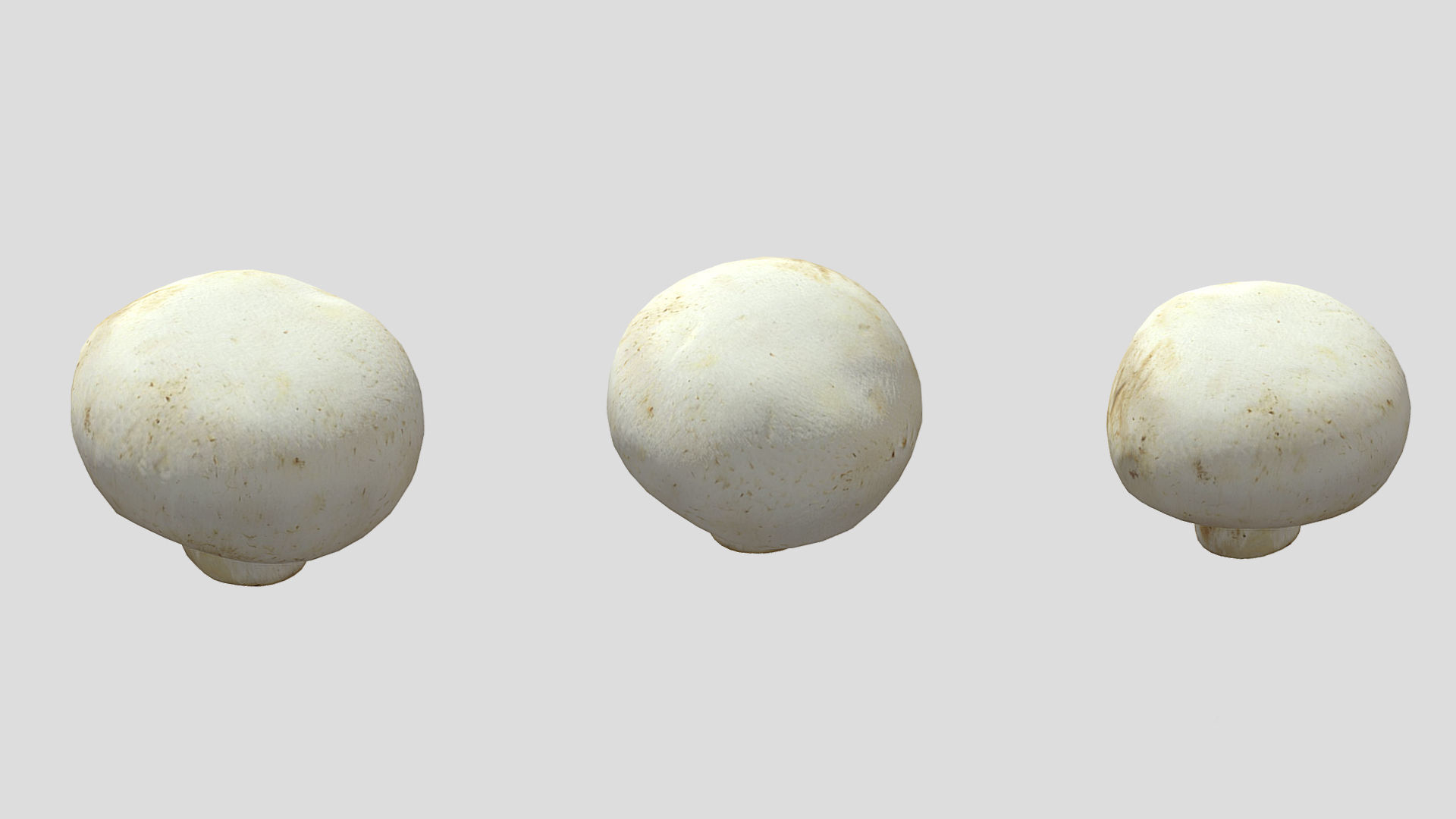 Button Mushroom Low Poly 3D model_3