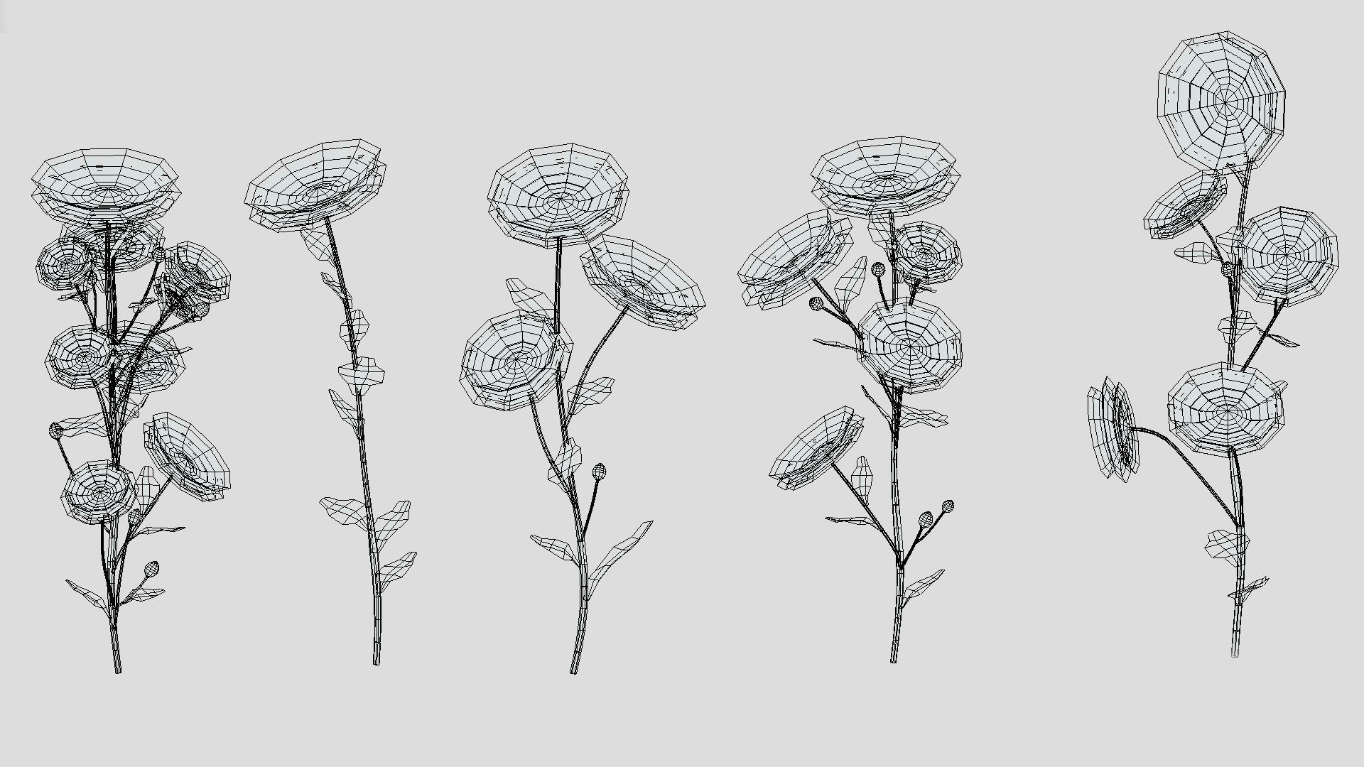 Calendula flower Low Poly 3D model_10