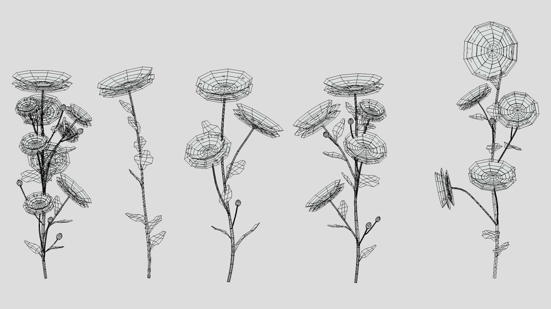 Calendula flower Low Poly 3D model_9