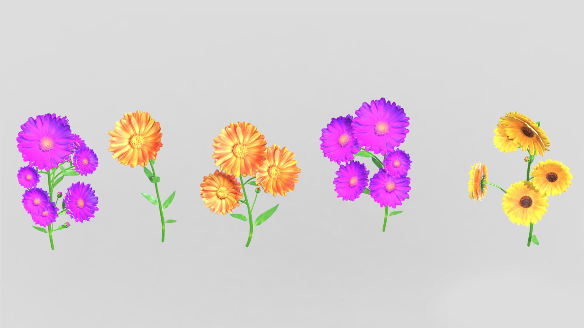 Calendula flower Low Poly 3D model_4